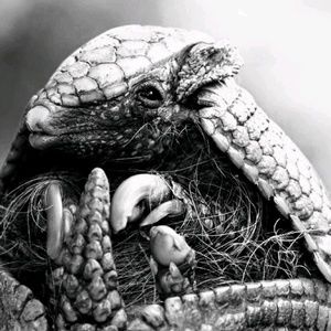 Meet your Posher, Stephen